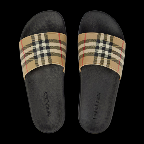 BURB SLIDES
