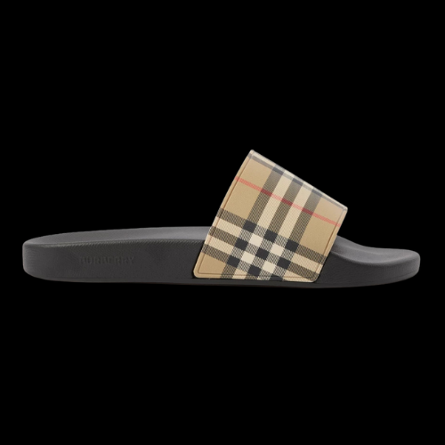 BURB SLIDES