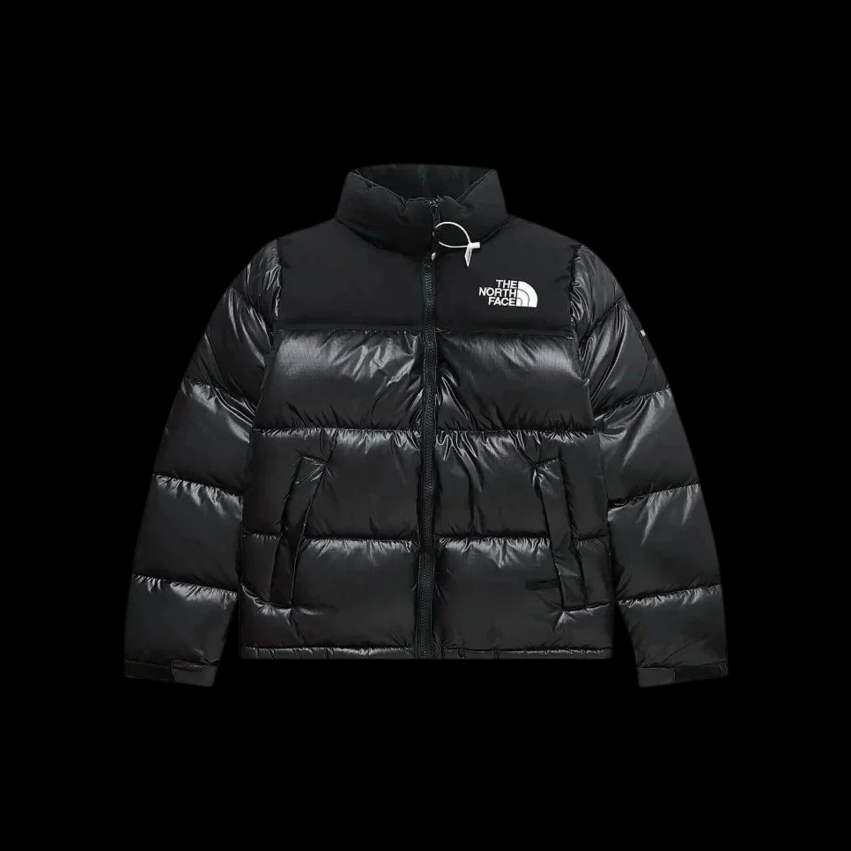 TNF JACKET